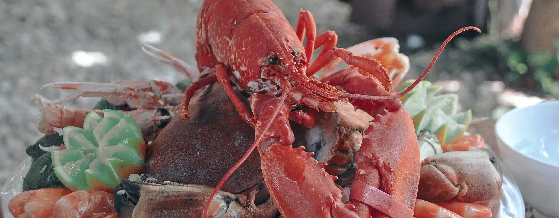 meilleurs restaurants de Lorient